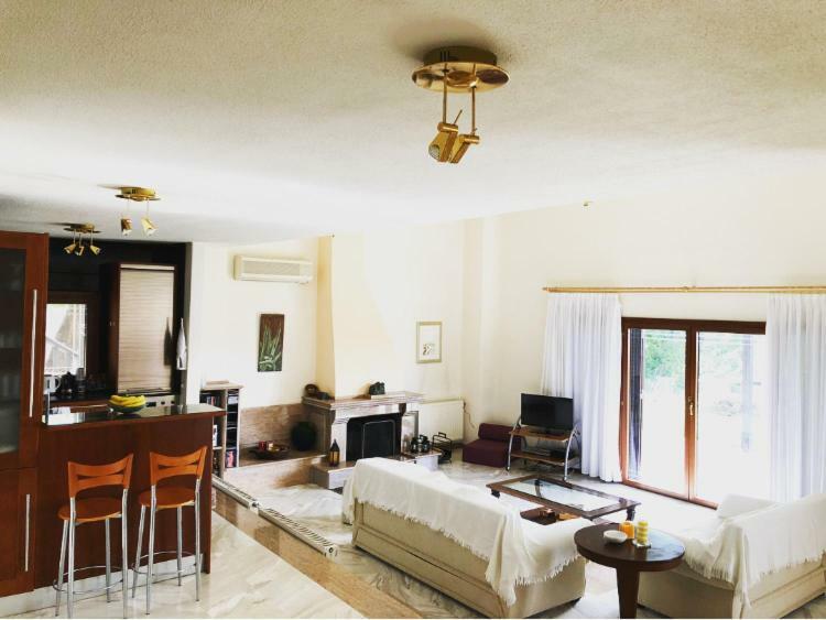 Bright & Spacious Seaview Villa Siviri Exterior foto