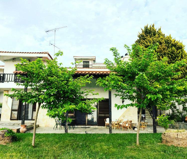 Bright & Spacious Seaview Villa Siviri Exterior foto