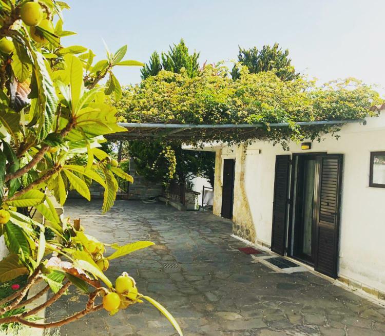 Bright & Spacious Seaview Villa Siviri Exterior foto