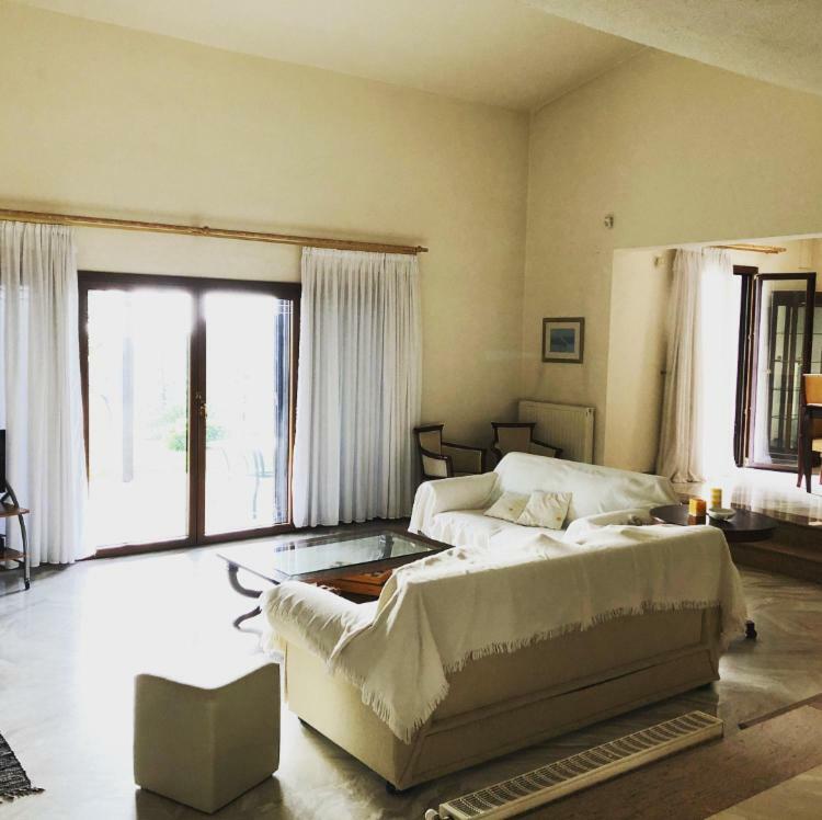 Bright & Spacious Seaview Villa Siviri Exterior foto